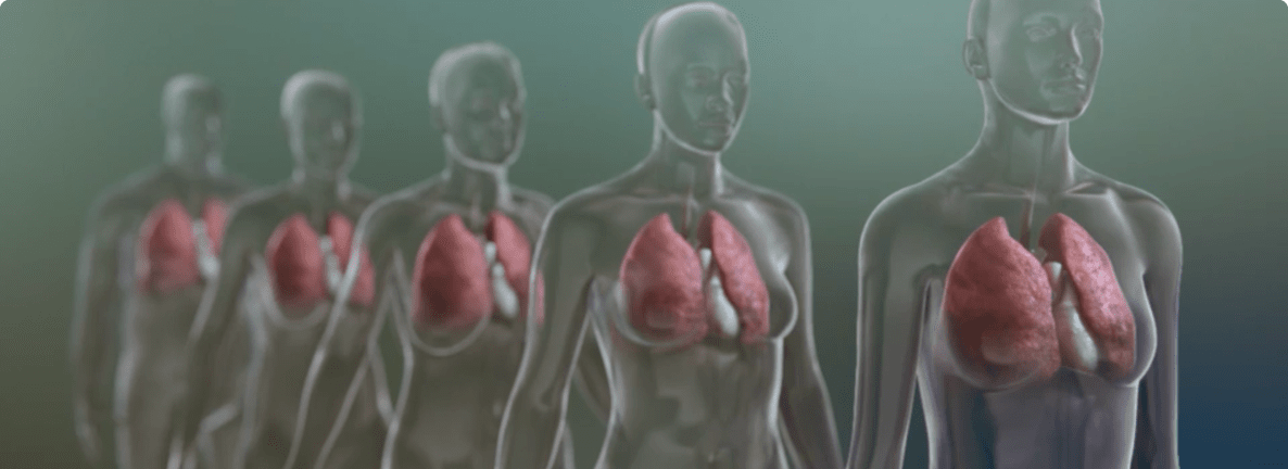 A row of transparent people with their lungs visible