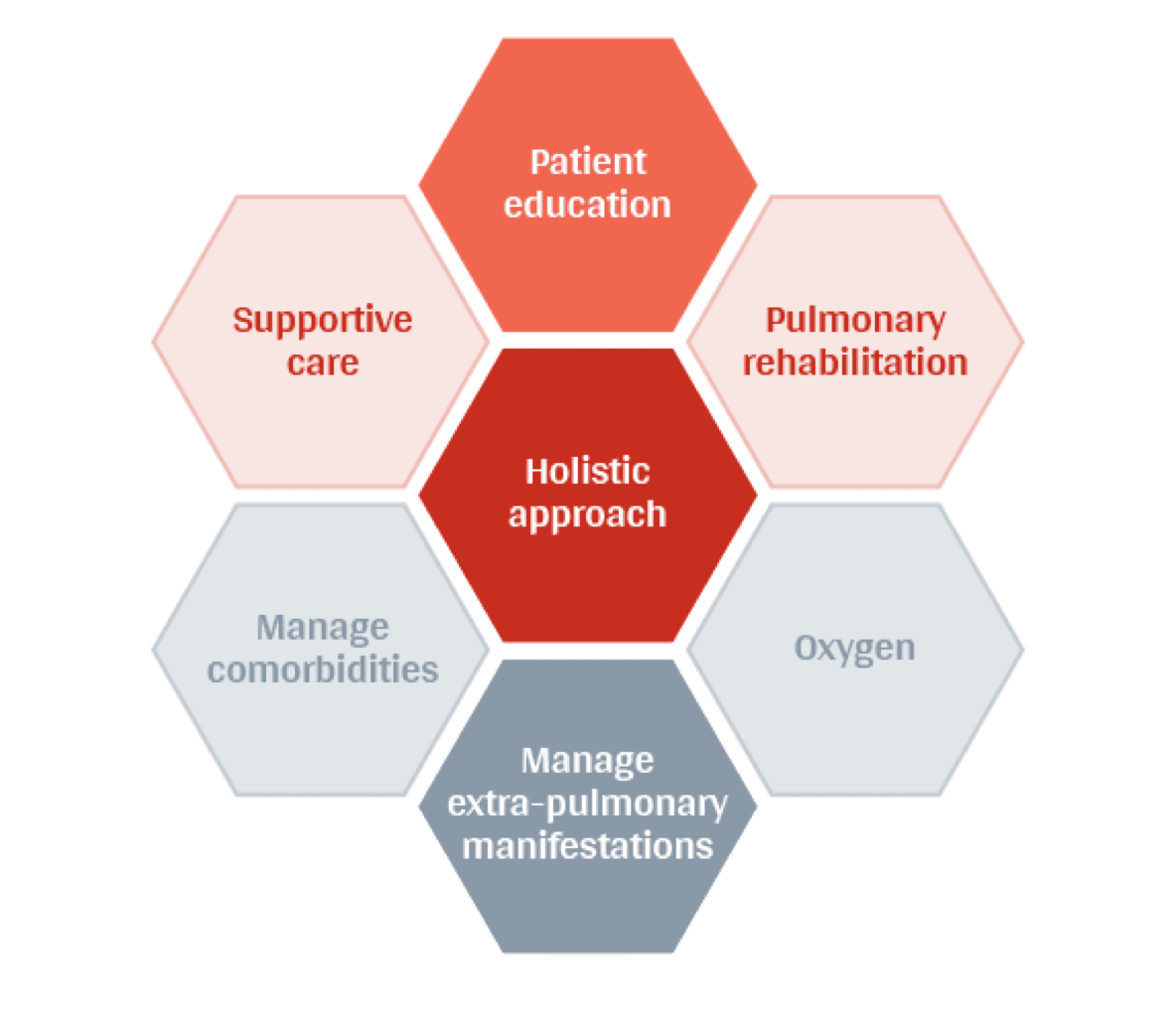 Hexagonal graph shows patient education/ supportive care/ pulmonary rehabilitation/ holistic approach/ manage comorbidities/ oxygen/ manage extra-pulmonary manifestations 