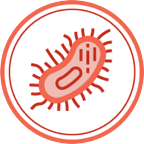 Icon of a bacteria